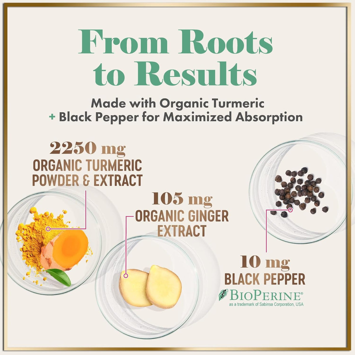 Turmeric Curcumin Supplement with 95% Curcuminoids, Organic Turmeric & Ginger 1750mg, BioPerine Black Pepper for Best Absorption, Nature's Vegan Joint Support, Non-GMO, Bottled in USA - 240 Count