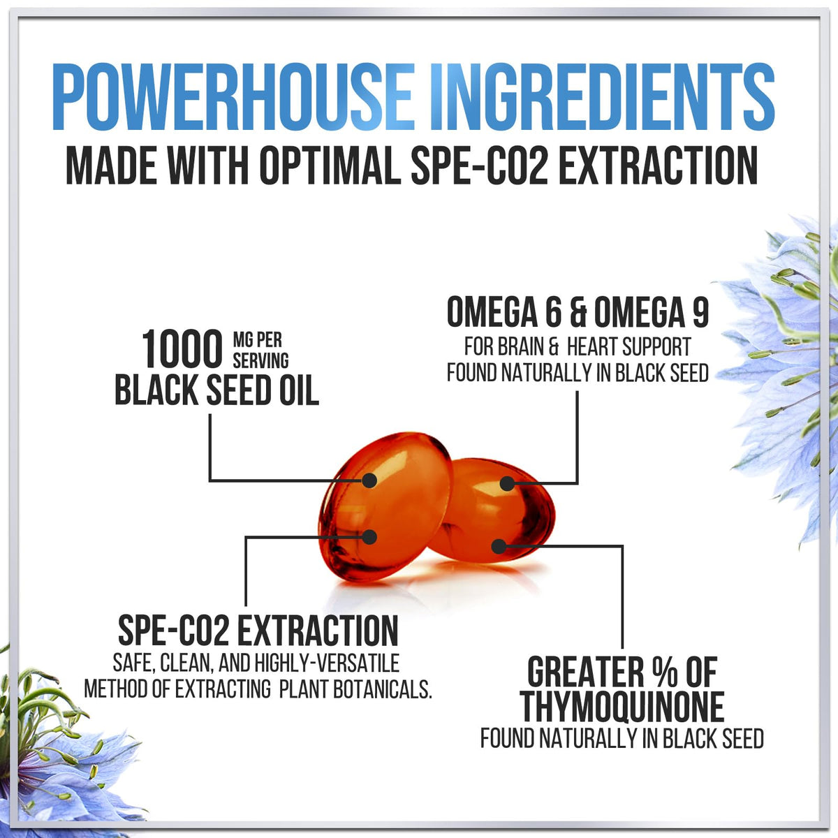 Black Seed Oil, 1,000 mg – 60 Count
