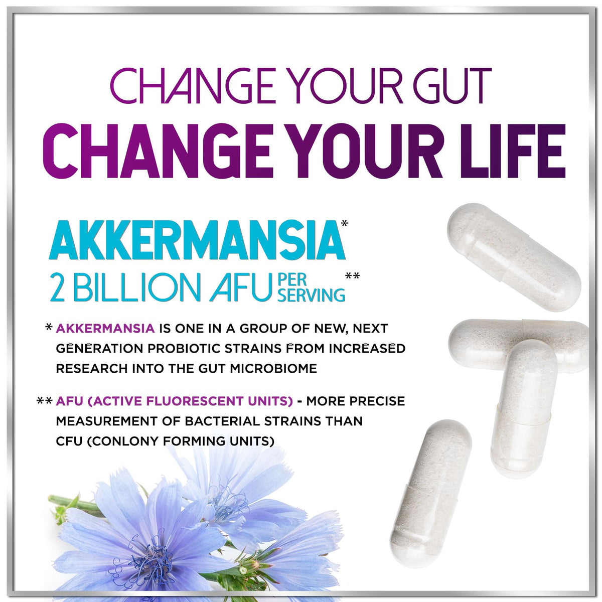 Akkermansia Probiotic + Inulin, 2 Billion AFU – 60 Count