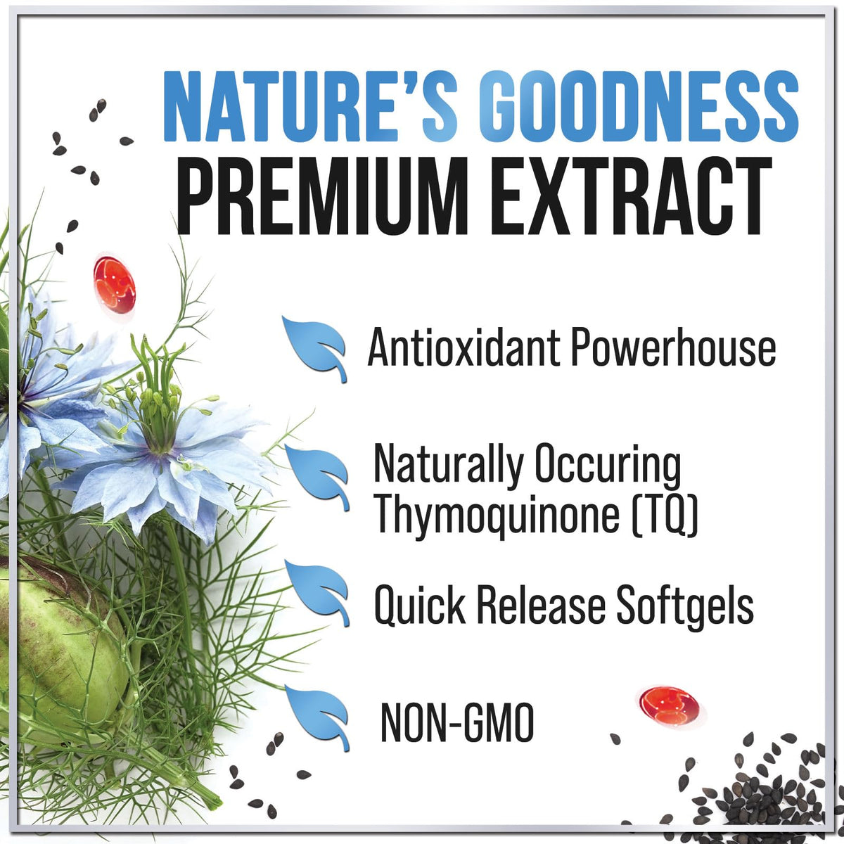 Black Seed Oil, 1,000 mg – 120 Count