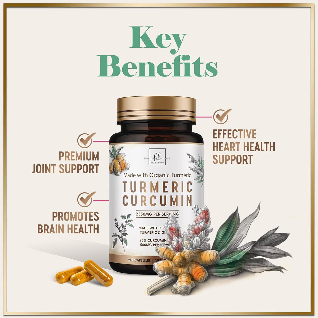 Turmeric Curcumin Supplement with 95% Curcuminoids, Organic Turmeric & Ginger 1750mg, BioPerine Black Pepper for Best Absorption, Nature's Vegan Joint Support, Non-GMO, Bottled in USA - 240 Count