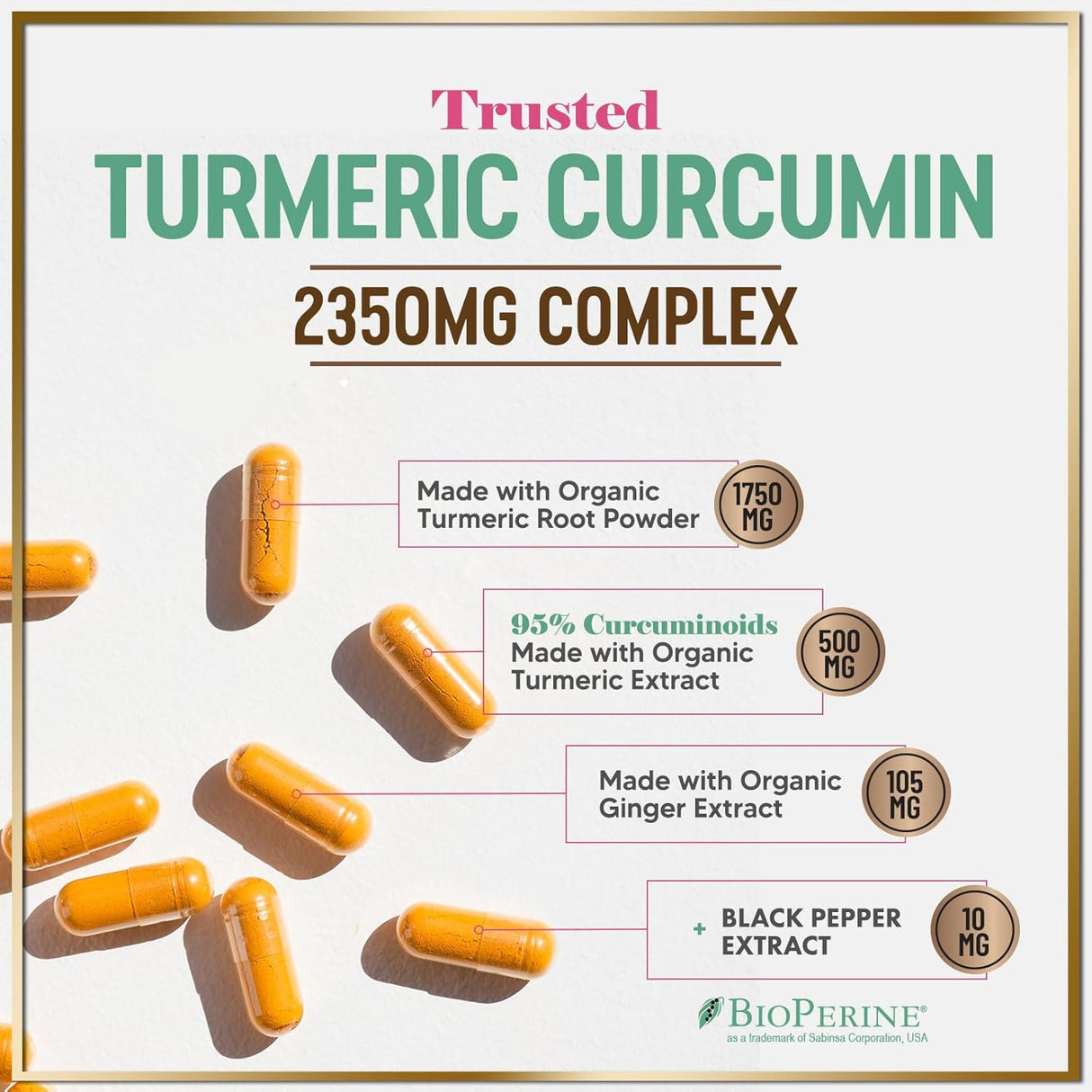 Turmeric Curcumin Supplement with 95% Curcuminoids, Organic Turmeric & Ginger 1750mg, BioPerine Black Pepper for Best Absorption, Nature's Vegan Joint Support, Non-GMO, Bottled in USA - 240 Count