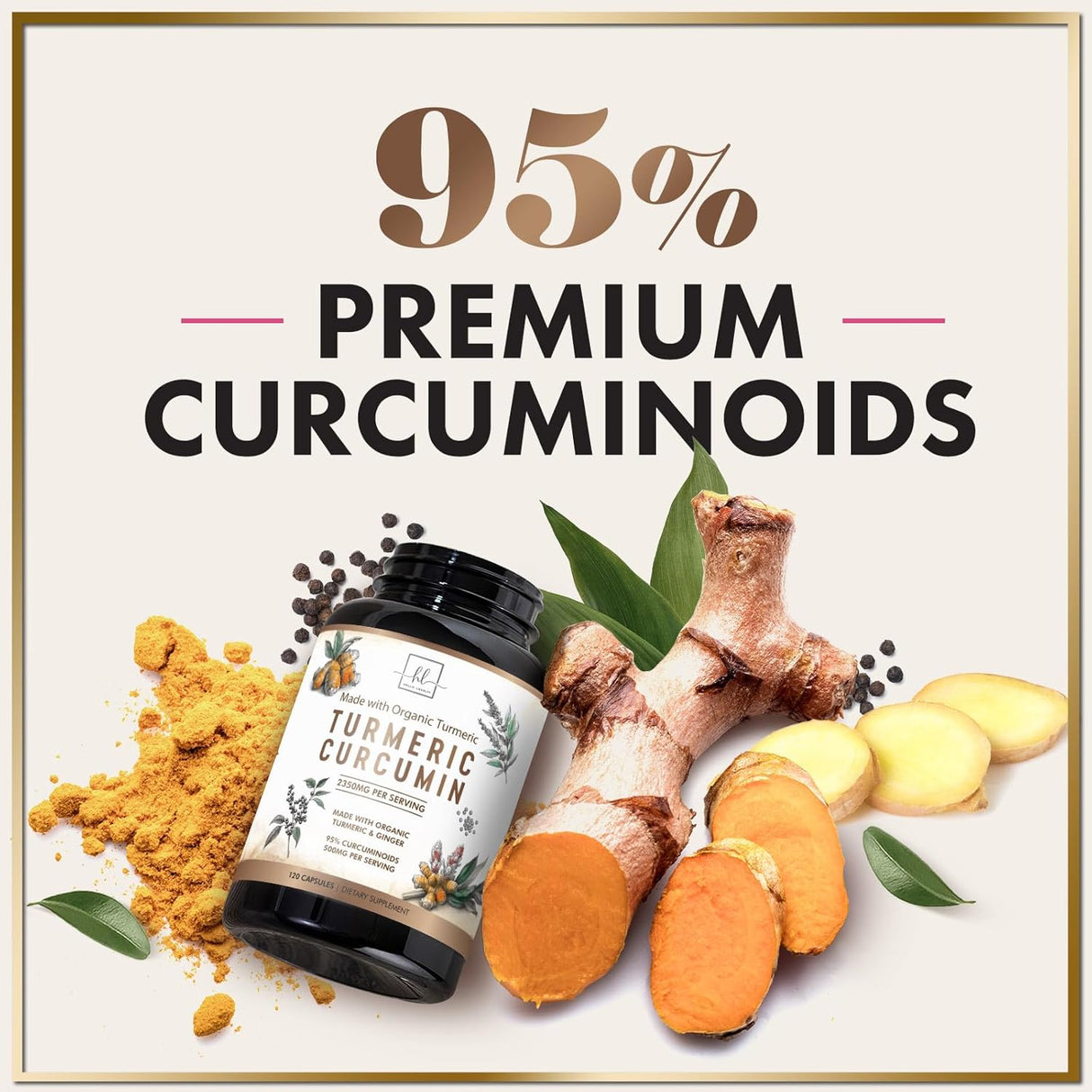 Turmeric Curcumin Supplement with 95% Curcuminoids, Organic Turmeric & Ginger 1750mg, BioPerine Black Pepper for Best Absorption, Nature's Vegan Joint Support, Non-GMO, Bottled in USA - 120 Count