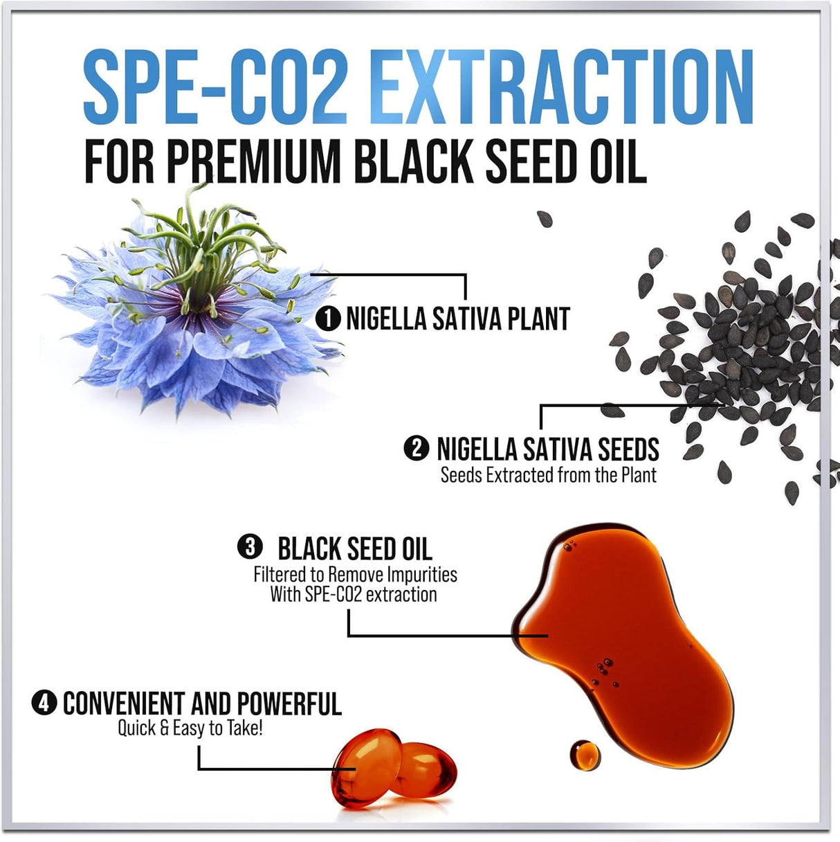 Premium Black Seed Oil Capsules - Extra Strength 1000mg - 100% Blackseed Oil for Immune Support & Skin Health (Non-GMO & Vegan) Pure Cold-Pressed Nigella Sativa Black Cumin Seed Oil - 120 Count