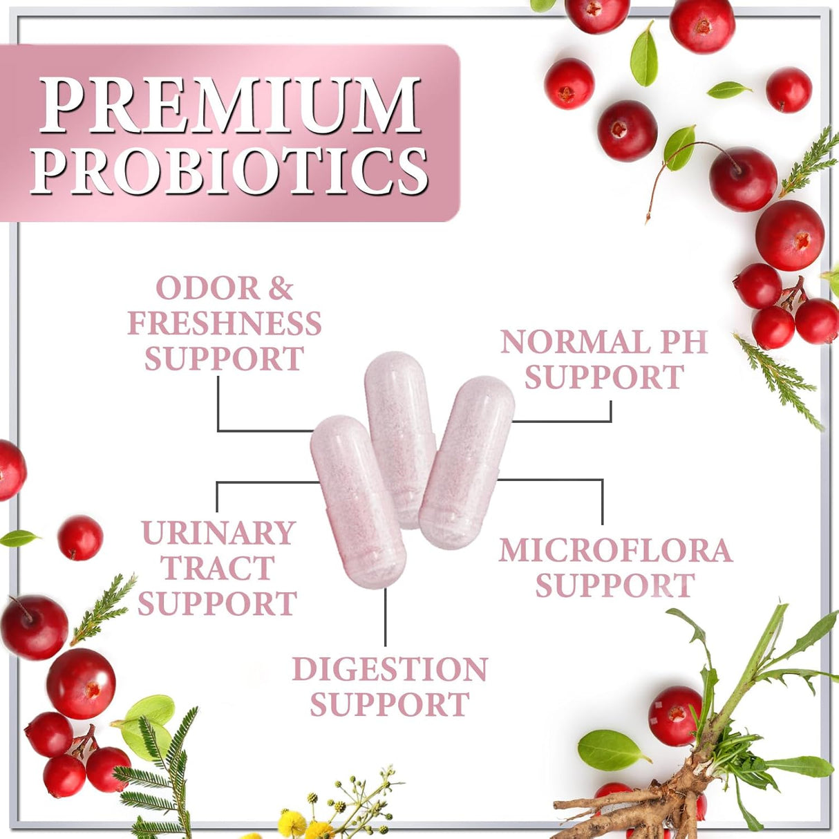 Probiotics for Women with Prebiotics - Womens Probiotic for Digestive, Vaginal, Urinary & Immune Health Support, 90 Billion CFU & 16 Diverse Strains, Cranberry & D-Mannose, Non-GMO - 120 Count