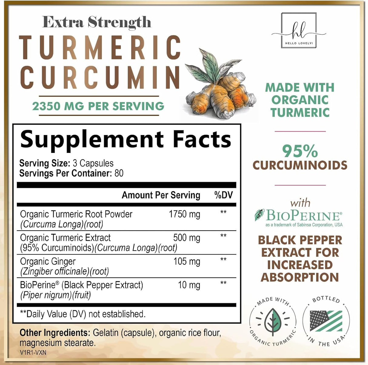 Turmeric Curcumin Supplement with 95% Curcuminoids, Organic Turmeric & Ginger 1750mg, BioPerine Black Pepper for Best Absorption, Nature's Vegan Joint Support, Non-GMO, Bottled in USA - 240 Count