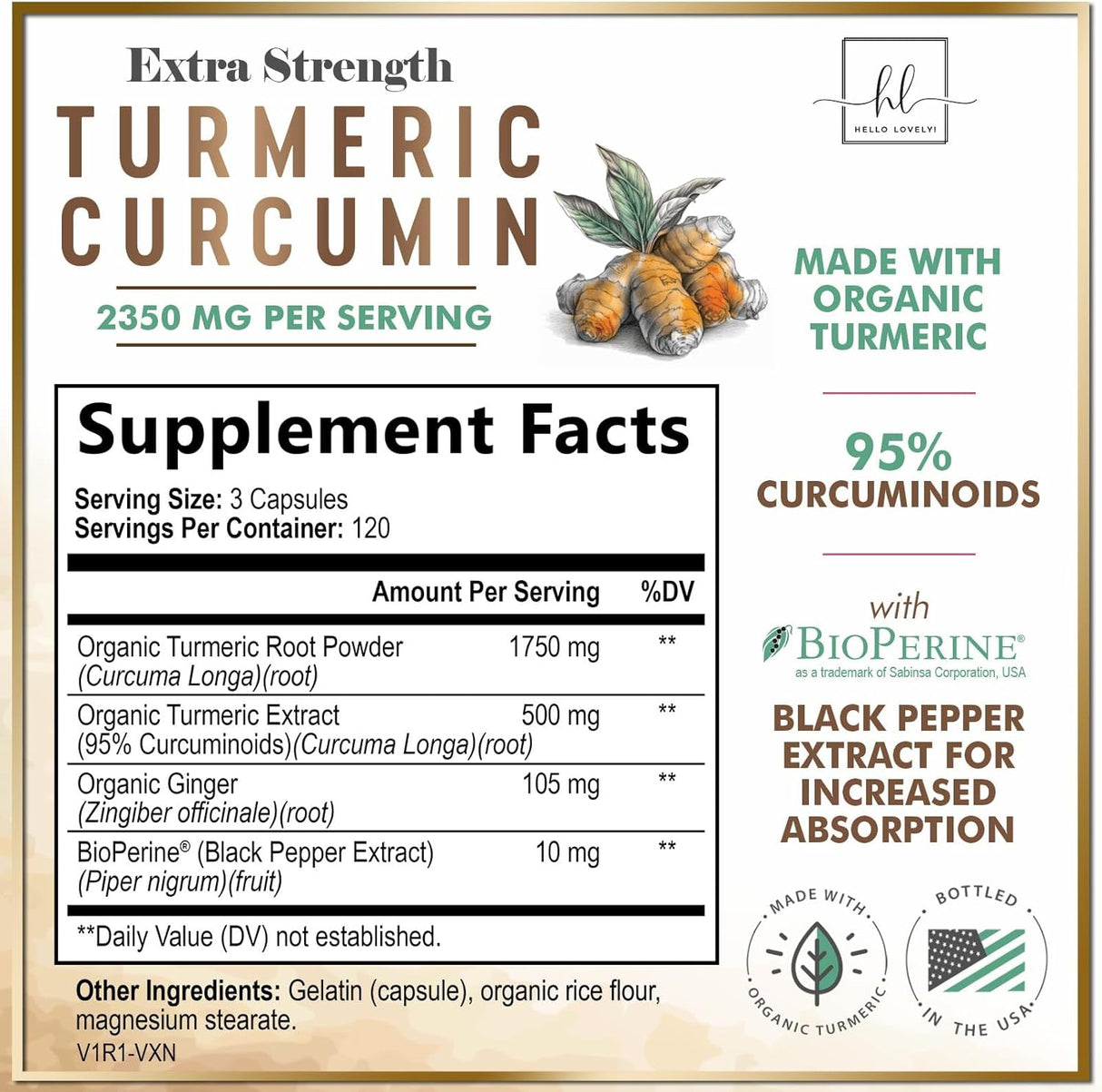 Turmeric Curcumin Supplement with 95% Curcuminoids, Organic Turmeric & Ginger 1750mg, BioPerine Black Pepper for Best Absorption, Nature's Vegan Joint Support, Non-GMO, Bottled in USA - 360 Count