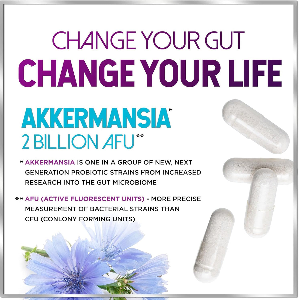 Akkermansia Probiotic Supplement with Prebiotic Inulin Fiber - 2 Billion AFU to Support GLP-1 Production, Digestive Health, Immune Support - Akkermansia Muciniphila Good Gut Health - 60 Count