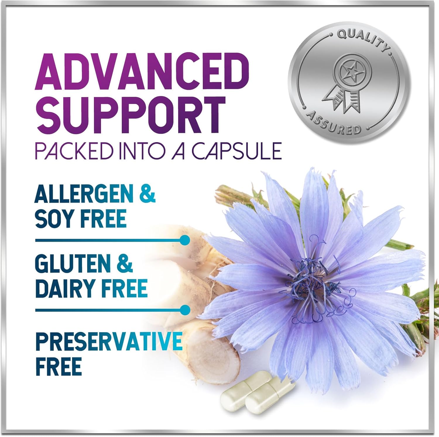 ブロメリア・エアープランツ Deuterocohnia sp. Tuchman ex. Bill Baker ブロメリア・エアープランツ Deuterocohnia sp. Tuchman ex. Bill