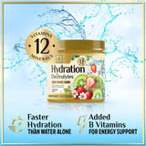 Hydration Replenisher Daily Electrolyte Drink Mix â€“ Rapid Hydration Powder with 6 Electrolytes & Minerals, Zero Sugar, Keto, Vegan, Non-GMO & Sugar-Free Electrolyte Powder Tub - 60 Servings