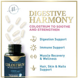 Colostrum, 1,000 mg with 20% Immunoglobulins – 120 Count