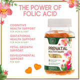 Prenatal Multivitamin Gummy w/ Folic Acid + DHA, Prenatal Vitamins with Omega 3, Vitamins B6, B12, C, D3 & Folate for Pregnancy Support, Prenatal Gummies for Women, Non-GMO Gluten Free - 60 Count