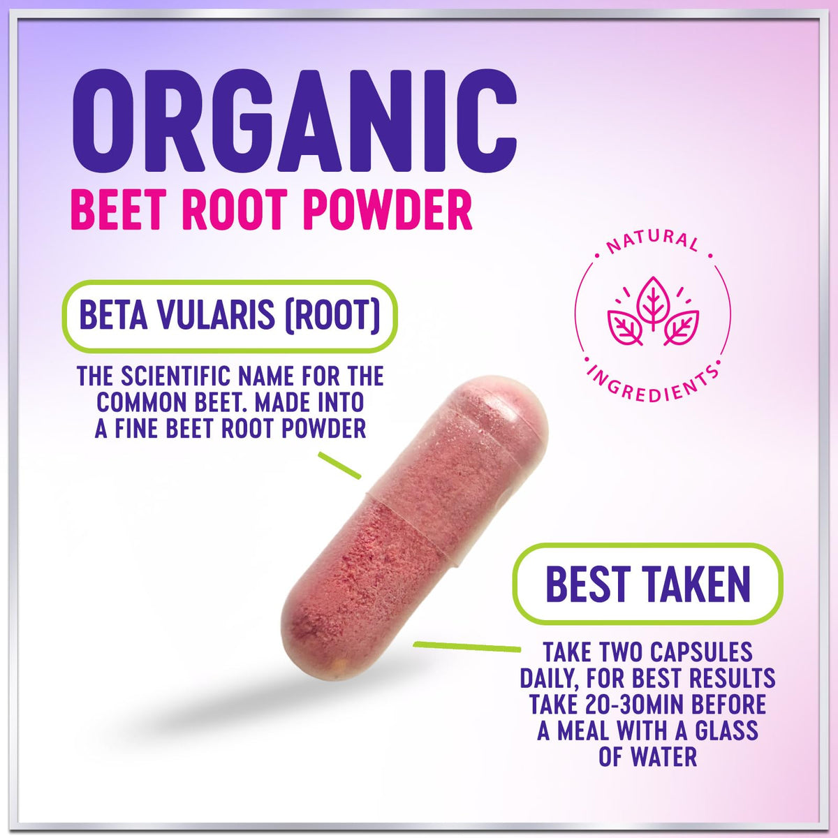 Organic Beet Root, 1,300 mg – 60 Capsules