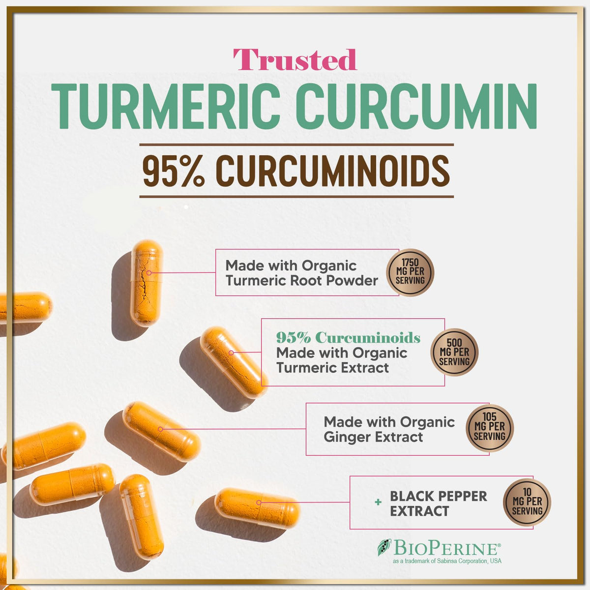 Turmeric Curcumin + Ginger, 1,750 mg – 240 Count