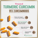 Turmeric Curcumin + Ginger, 1,750 mg – 240 Count