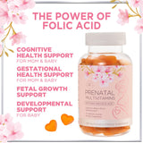 Prenatal Vitamins for Women with DHA & Folic Acid - Best Prenatal Multivitamin Gummies for Women, Brain Development Support, Folate, Vitamin C, D3 & B12, Pre Natal Pregnancy Supplement - 120 Gummies