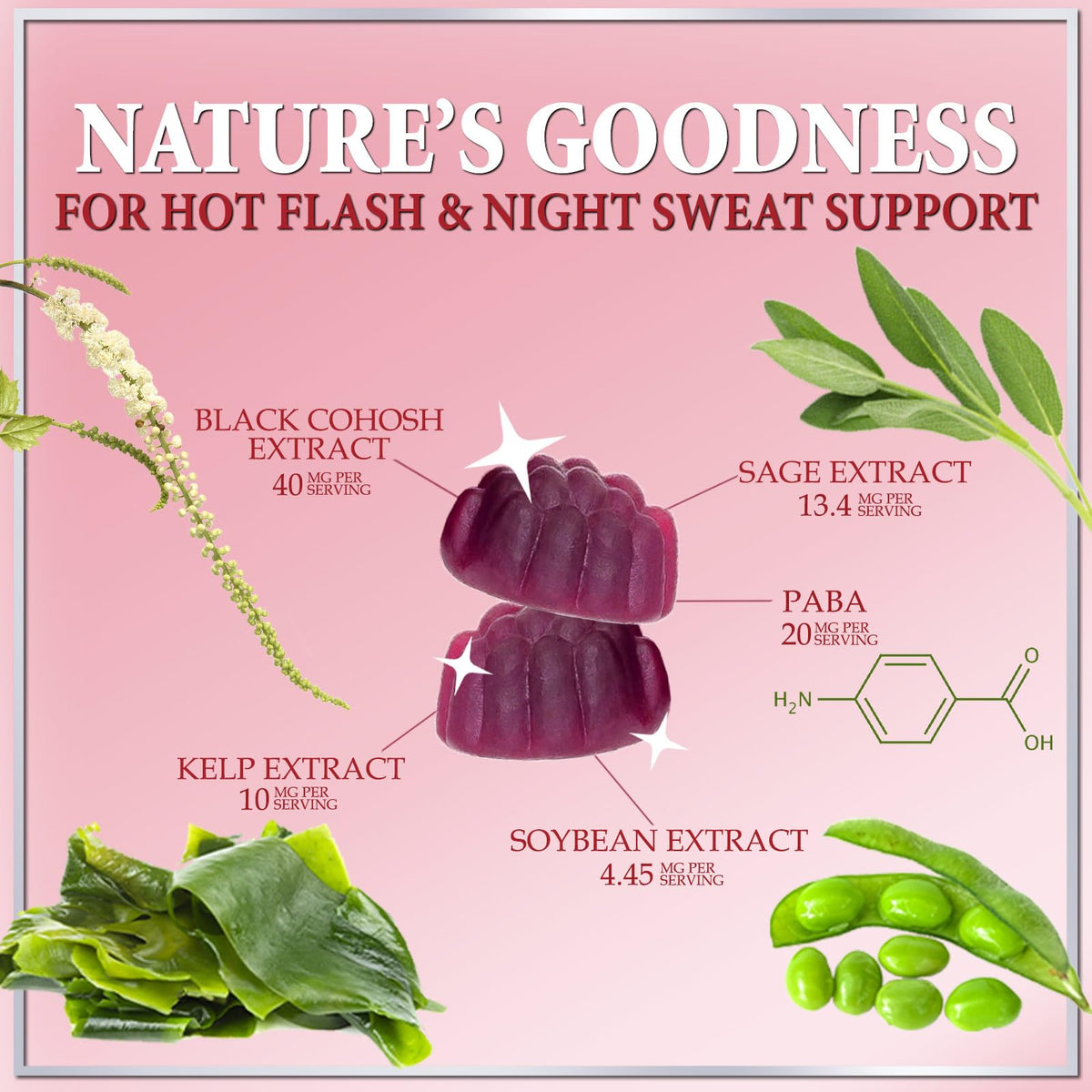 Complete Menopause Support Gummies, Raspberry Pomegranate