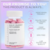 Hair Vitamins Gummies with Biotin, Vitamins C + E – 60 Count