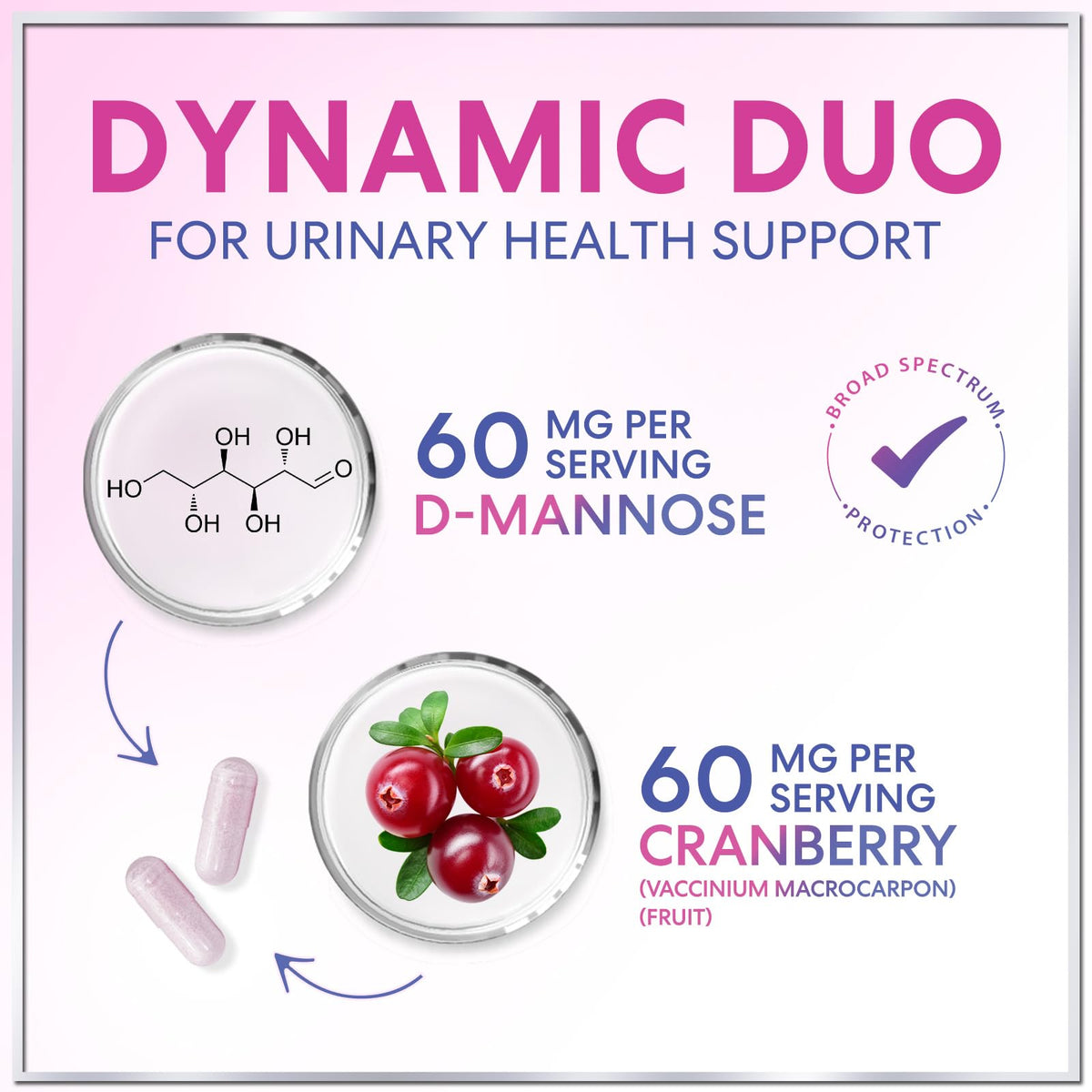 Women’s Probiotic, 50 Billion CFU + Cranberry – 120 Count