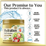 Hydration Replenisher Daily Electrolyte Drink Mix â€“ Rapid Hydration Powder with 6 Electrolytes & Minerals, Zero Sugar, Keto, Vegan, Non-GMO & Sugar-Free Electrolyte Powder Tub - 60 Servings
