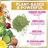 Greens Blend Superfood - Super Greens Powder Smoothie Mix for Energy & Digestive Health Support with Probiotics, Organic Spirulina, Chlorella, Beet Root Powder, Vegan Superfood Powder